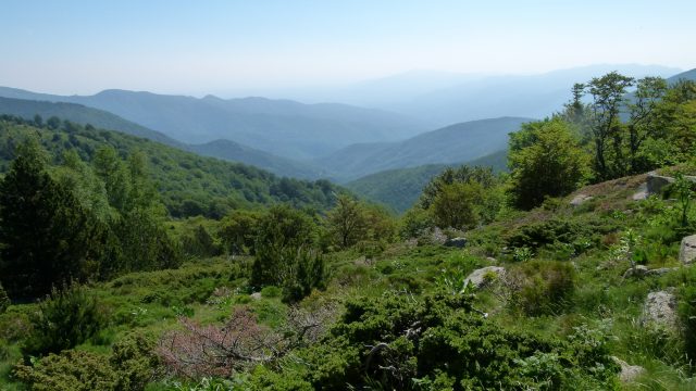 Présentation de la filière bois lors de L’Eco Festiv’Arles