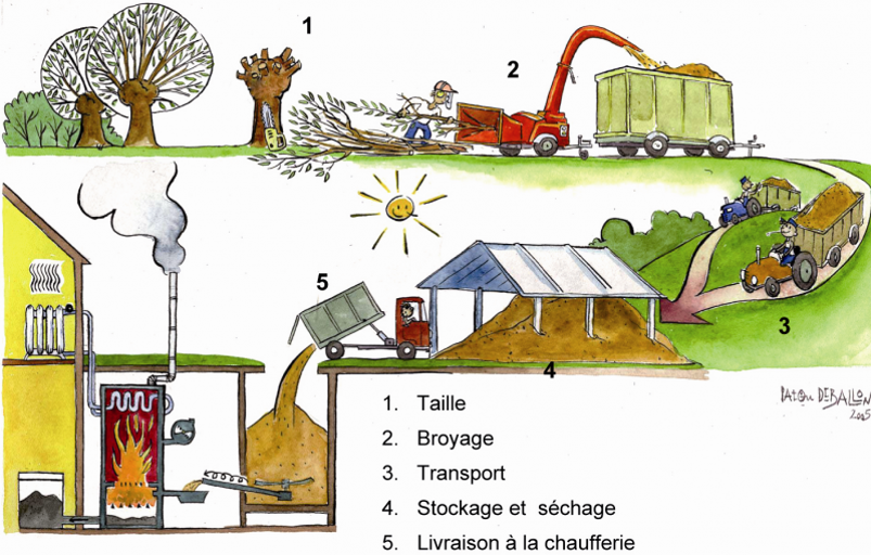 Schéma production de plaquettes