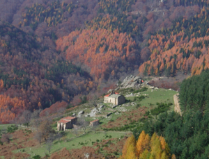 Chapelle Sant Guillem et diversité forestière