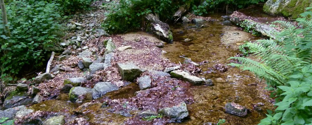 PCAET : Déclaration d&rsquo;Intention