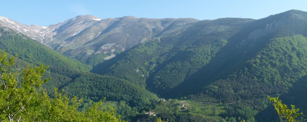 La Communauté de Communes agit en faveur de l’éducation à l’environnement