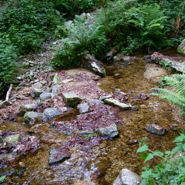 PCAET : Déclaration d&rsquo;Intention